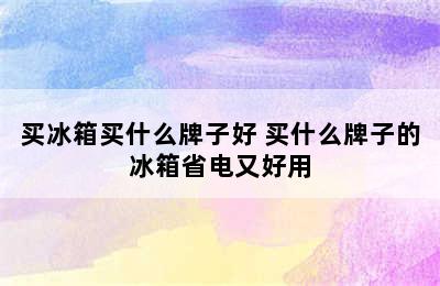 买冰箱买什么牌子好 买什么牌子的冰箱省电又好用